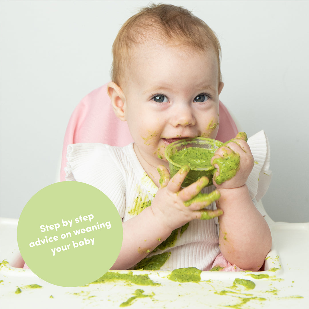 Baby and Family Recipe Book